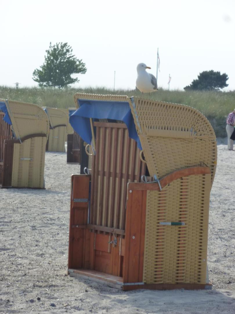Traumhafter Ostsee-Ausblick, Fewo Direkt Am Strand 페마른 외부 사진